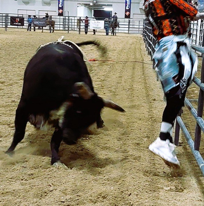 bull-riding event, a rough-stock two-thousand pound bull charges a rodeo clown who frantically climbs a heavy-duty corral fence as seen in rodeos: Alamo, Battle Mountain; Boulder City; Pahrump; Pahrump Valley; Elko; Eureka; Fallon; Fernley; Humboldt; Las Vegas; Moapa; Moapa Valley; Spanish Springs; Washoe; Wells; White Pine; NSHSRA; Priefert Pavilion; & South Point;
