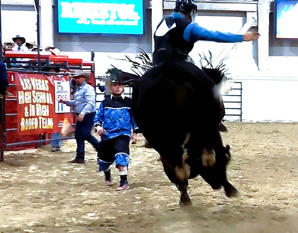In bull riding event, a contestant hangs on atop his ride as the rodeo clown cautiously approaches at Rodeo Priefert Pavilion; Rodeo South Point Arena; Rodeo South Point; & Rodeo NSHSRA.