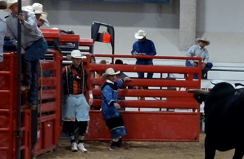 In bull riding event, a rough-stock bull considers charging two clowns at Priefert Pavilion as seen at: rodeo Humboldt HS; rodeo Las Vegas HS; rodeo Moapa Valley HS; & rodeo Spanish Springs HS.