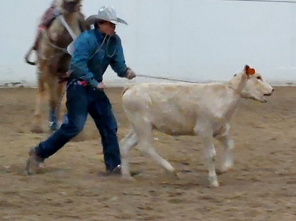 Breakaway event, male contestant walks the rope line to tie down his calf during time trials at Priefert Pavilion as seen at: rodeo Washoe; rodeo Wells; rodeo White Pine; and rodeo NSHSRA.