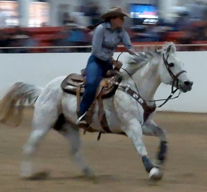 In pole-bending event, the third of three images, the crowd a blur, the horse flies to the finish of time trials at Priefert Pavilion as seen at: rodeo Washoe; rodeo Wells; rodeo White Pine; and rodeo NSHSRA.