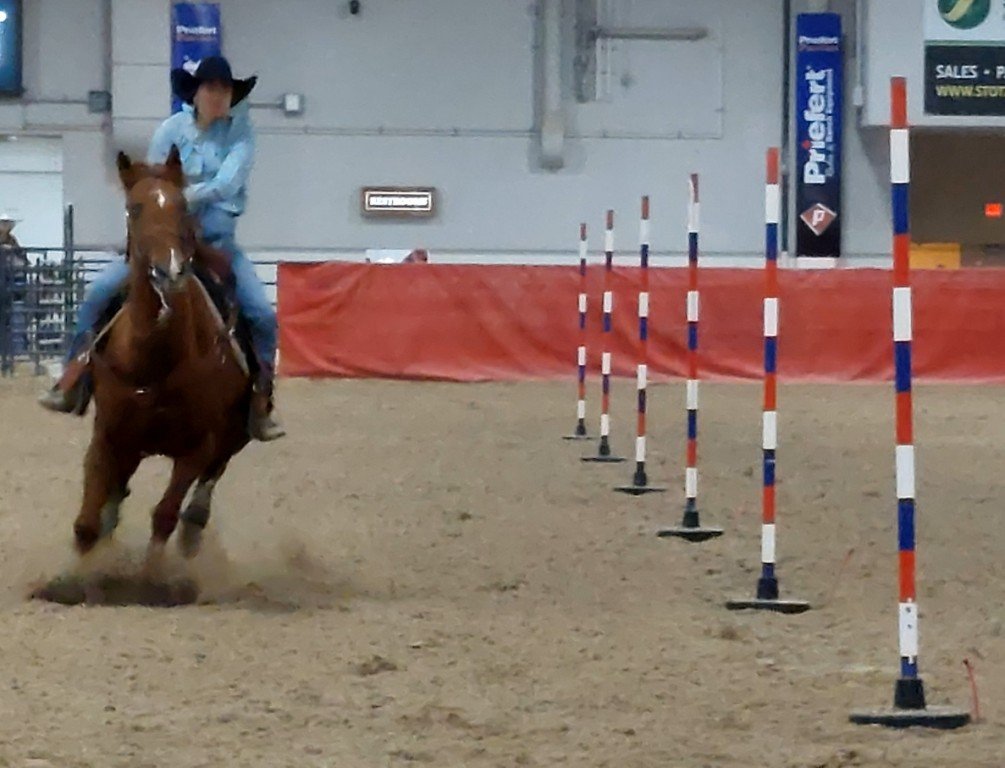 In pole-bending event, a long-shot of the pole-line as horse barrels to the finish at Priefert Pavilion as seen at: rodeo Priefert Pavilion; rodeo South Point Arena; rodeo South Point; and rodeo Horseman’s Park.