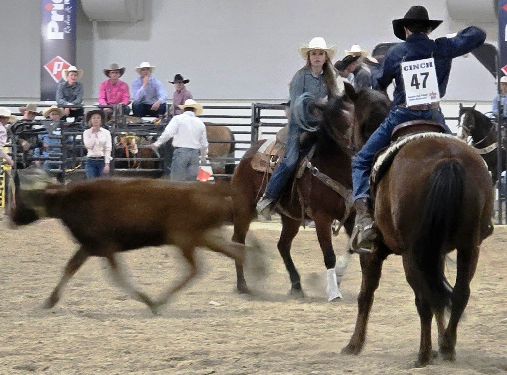In team roping event, a cowgirl has lassoed the bull but her partner is still winding his lasso in time trials at Priefert Pavilion as seen in high school rodeos: Alamo; Battle Mountain; Boulder City; Pahrump; Pahrump Valley; Elko; Eureka; Fallon; Fernley; Humboldt; Moapa Valley; Spanish Springs; Washoe; Wells; White Pine; NSHSRA; Priefert Pavilion; & South Point.