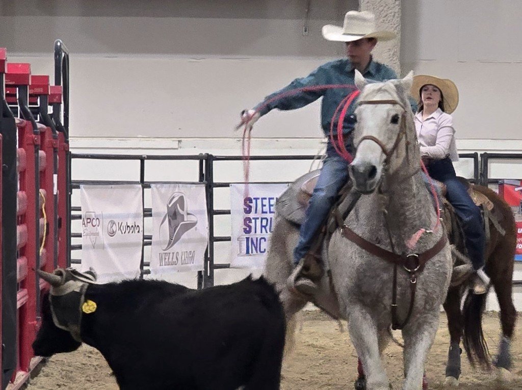 In team roping event, two young riders are perplexed with a stationary bull at Priefert Pavilion as seen in high school rodeos: Alamo; Battle Mountain; Boulder City; Pahrump; Pahrump Valley; Elko; Eureka; Fallon; Fernley; Humboldt; Moapa Valley; Spanish Springs; Washoe; Wells; White Pine; NSHSRA; Priefert Pavilion; & South Point.