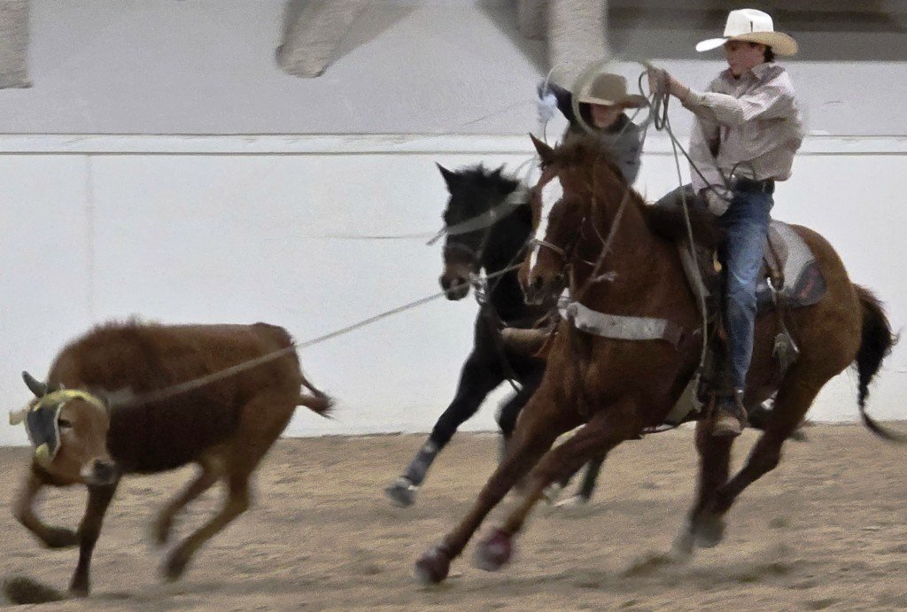 In team roping event, the steer is lassoed but his partner can't lasso the bull's hindlegs in time trials at Priefert Pavilion as seen in high school rodeos: Alamo; Battle Mountain; Boulder City; Pahrump; Pahrump Valley; Elko; Eureka; Fallon; Fernley; Humboldt; Moapa Valley; Spanish Springs; Washoe; Wells; White Pine; NSHSRA; Priefert Pavilion; & South Point.
