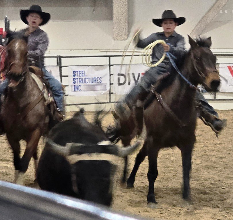 In team roping event, two cowboys trap bull in the confusion at Priefert Pavilion as seen in high school rodeos: Alamo; Battle Mountain; Boulder City; Pahrump; Pahrump Valley; Elko; Eureka; Fallon; Fernley; Humboldt; Moapa Valley; Spanish Springs; Washoe; Wells; White Pine; NSHSRA; Priefert Pavilion; & South Point.