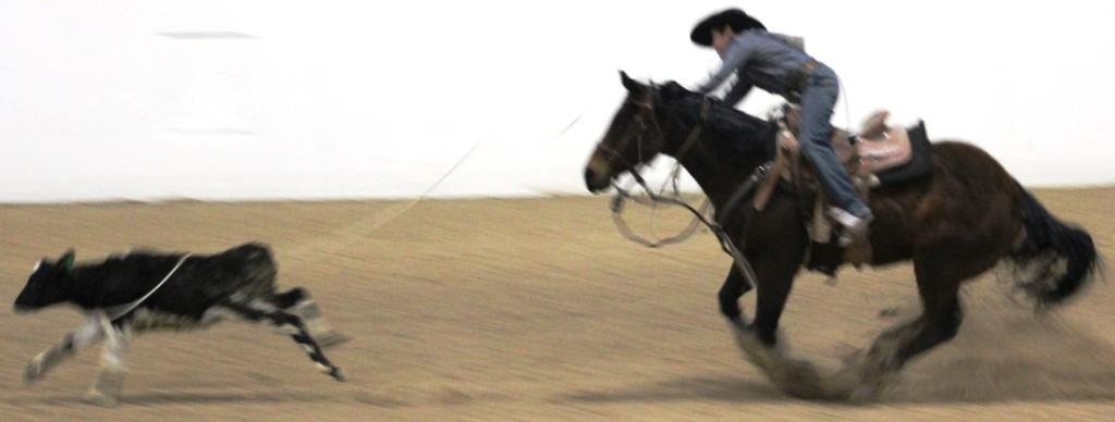 In boy's breakaway event, cowboy lassos steer while dangling from horse as as seen in high school rodeos: Alamo; Battle Mountain; Boulder City; Pahrump; Pahrump Valley; Elko; Eureka; Fallon; Fernley; Humboldt; Moapa Valley; Spanish Springs; Washoe; Wells; White Pine; NSHSRA; Priefert Pavilion; & South Point.