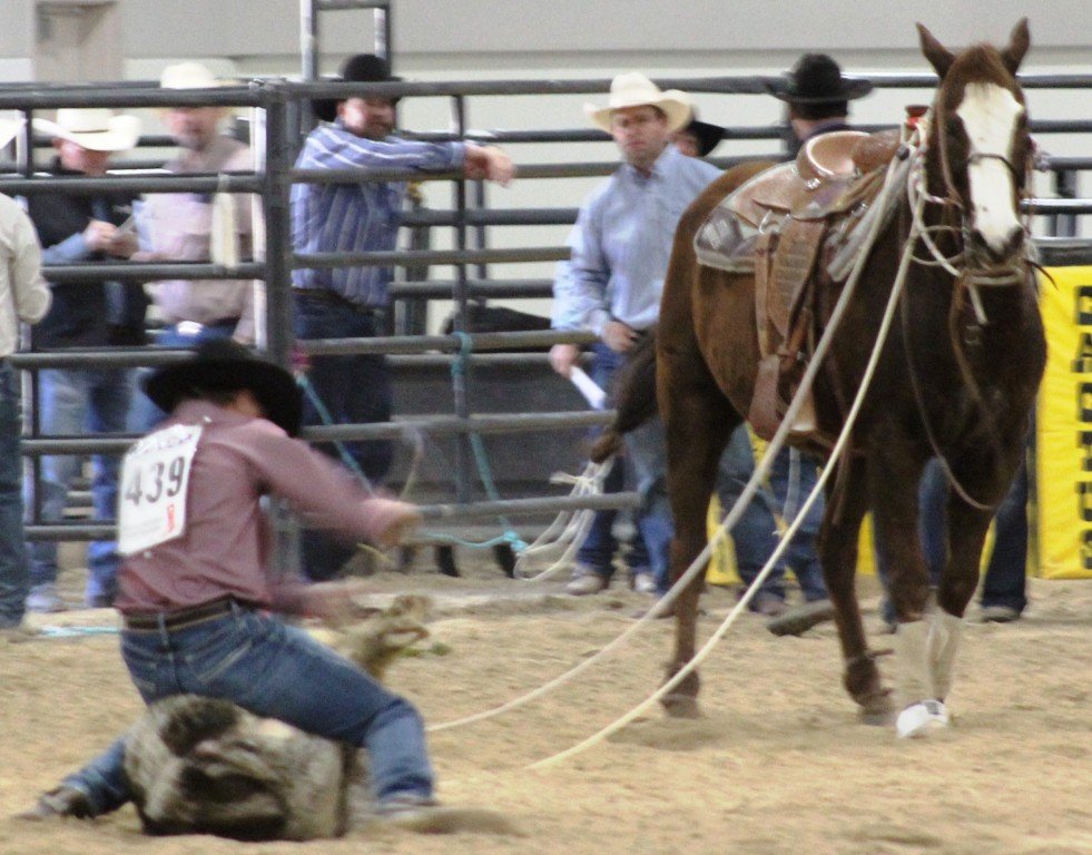 In boy's breakaway event, cowboy ties steer's leg in finish as seen in high school rodeos: Alamo; Battle Mountain; Boulder City; Pahrump; Pahrump Valley; Elko; Eureka; Fallon; Fernley; Humboldt; Moapa Valley; Spanish Springs; Washoe; Wells; White Pine; NSHSRA; Priefert Pavilion; & South Point.