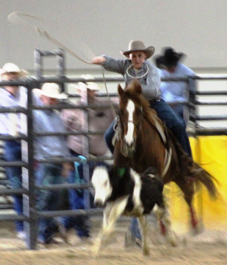 In boy's breakaway event, cowboy dogs steer as seen in high school rodeos: Alamo; Battle Mountain; Boulder City; Pahrump; Pahrump Valley; Elko; Eureka; Fallon; Fernley; Humboldt; Moapa Valley; Spanish Springs; Washoe; Wells; White Pine; NSHSRA; Priefert Pavilion; & South Point.