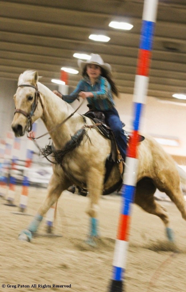 In pole-bending event, horse and rider maneuver between poles in the time trials at Priefert Pavilion as seen in high school rodeos: Alamo; Battle Mountain; Boulder City; Pahrump; Pahrump Valley; Elko; Eureka; Fallon; Fernley; Humboldt; Moapa Valley; Spanish Springs; Washoe; Wells; White Pine; NSHSRA; Priefert Pavilion; & South Point.