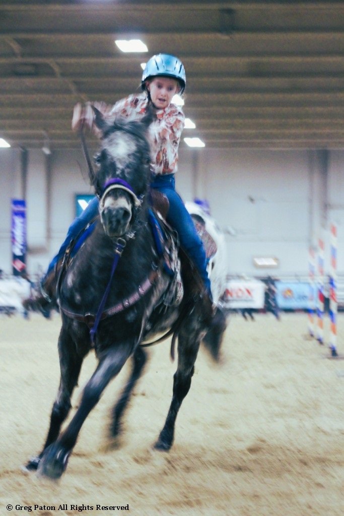 In pole-bending event, young cowgirl concentrates around pole in the time trials at Priefert Pavilion as seen in high school rodeos: Alamo; Battle Mountain; Boulder City; Pahrump; Pahrump Valley; Elko; Eureka; Fallon; Fernley; Humboldt; Moapa Valley; Spanish Springs; Washoe; Wells; White Pine; NSHSRA; Priefert Pavilion; & South Point.