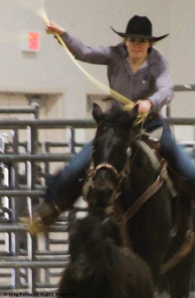 In breakaway event, cowgirl swings lasso following steer in time trials at Priefert Pavilion as seen in high school rodeos: Alamo; Battle Mountain; Boulder City; Pahrump; Pahrump Valley; Elko; Eureka; Fallon; Fernley; Humboldt; Moapa Valley; Spanish Springs; Washoe; Wells; White Pine; NSHSRA; Priefert Pavilion; & South Point.