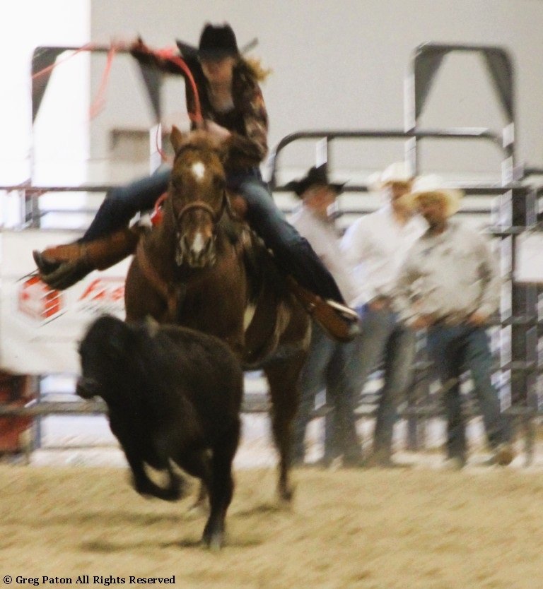 In breakaway event, cowgirl swings lasso tracking steer in time trials at Priefert Pavilion as seen in high school rodeos: Alamo; Battle Mountain; Boulder City; Pahrump; Pahrump Valley; Elko; Eureka; Fallon; Fernley; Humboldt; Moapa Valley; Spanish Springs; Washoe; Wells; White Pine; NSHSRA; Priefert Pavilion; & South Point.