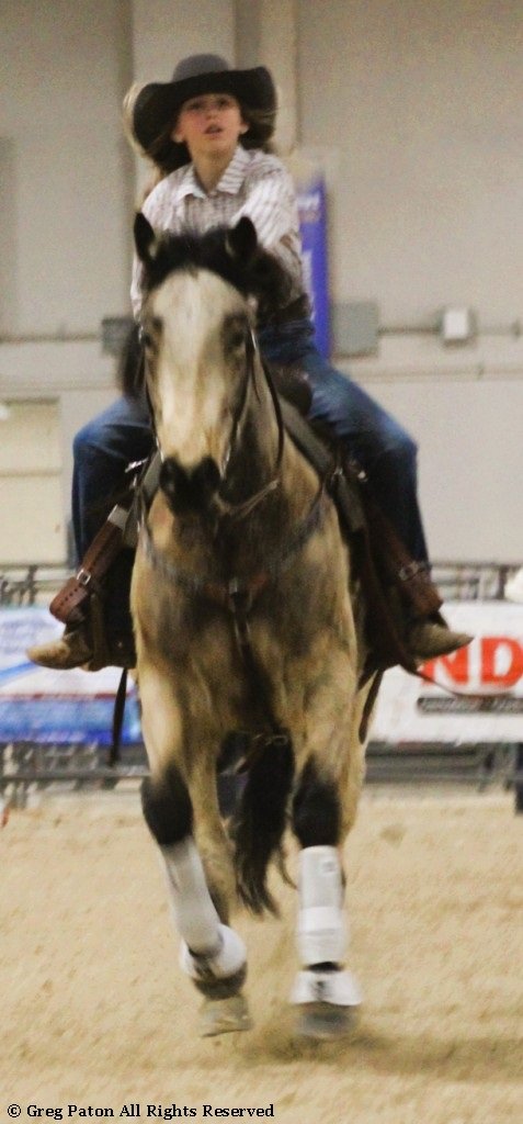 In goat tie-down event, rider prepares to dismount in time trials at Priefert Pavilion as seen in high school rodeos: Alamo; Battle Mountain; Boulder City; Pahrump; Pahrump Valley; Elko; Eureka; Fallon; Fernley; Humboldt; Moapa Valley; Spanish Springs; Washoe; Wells; White Pine; NSHSRA; Priefert Pavilion; & South Point.