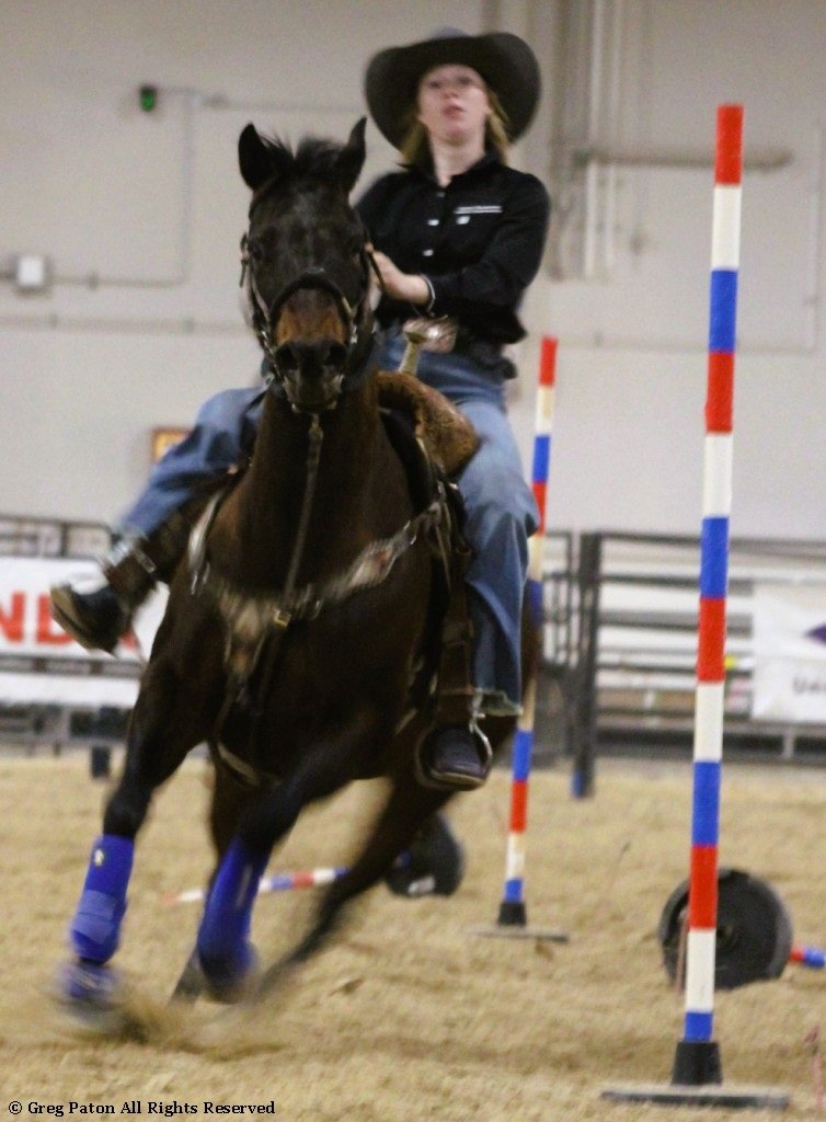 In pole-bending event, horse and rider knock down poles in the time trials at Priefert Pavilion as seen in high school rodeos: Alamo; Battle Mountain; Boulder City; Pahrump; Pahrump Valley; Elko; Eureka; Fallon; Fernley; Humboldt; Moapa Valley; Spanish Springs; Washoe; Wells; White Pine; NSHSRA; Priefert Pavilion; & South Point.