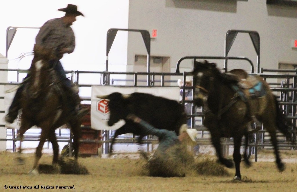 In steer wrestling event, cowboy misses steer falling to ground in time trials at Priefert Pavilion as seen in high school rodeos: Alamo; Battle Mountain; Boulder City; Pahrump; Pahrump Valley; Elko; Eureka; Fallon; Fernley; Humboldt; Moapa Valley; Spanish Springs; Washoe; Wells; White Pine; NSHSRA; Priefert Pavilion; & South Point.