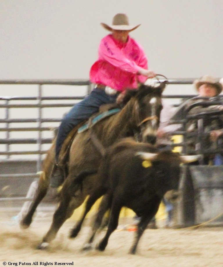 In breakaway event, cowboy tosses lasso at steer in time trials at Priefert Pavilion as seen in high school rodeos: Alamo; Battle Mountain; Boulder City; Pahrump; Pahrump Valley; Elko; Eureka; Fallon; Fernley; Humboldt; Moapa Valley; Spanish Springs; Washoe; Wells; White Pine; NSHSRA; Priefert Pavilion; & South Point.