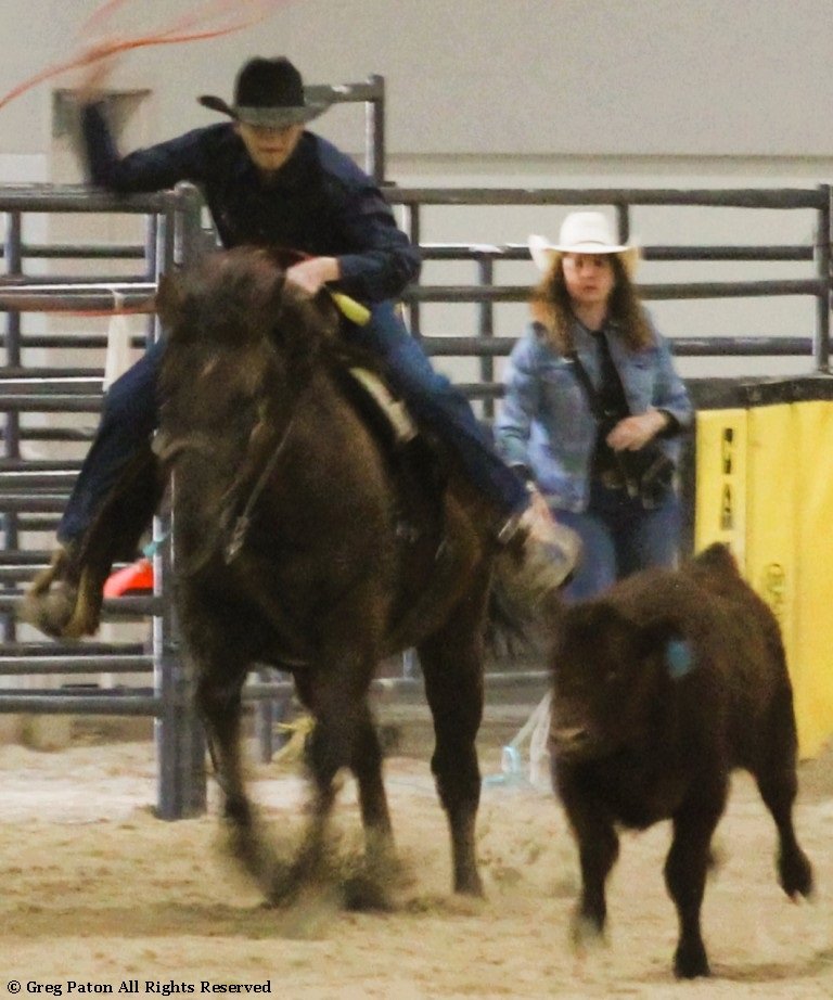 In breakaway event, cowboy swings lasso as he tracks steer in time trials at Priefert Pavilion as seen in high school rodeos: Alamo; Battle Mountain; Boulder City; Pahrump; Pahrump Valley; Elko; Eureka; Fallon; Fernley; Humboldt; Moapa Valley; Spanish Springs; Washoe; Wells; White Pine; NSHSRA; Priefert Pavilion; & South Point.