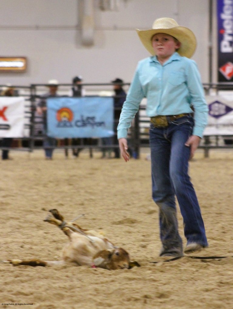 In goat tie-down event, rider stands after tying goat in the time trials at Priefert Pavilion as seen in high school rodeos: Alamo; Battle Mountain; Boulder City; Pahrump; Pahrump Valley; Elko; Eureka; Fallon; Fernley; Humboldt; Moapa Valley; Spanish Springs; Washoe; Wells; White Pine; NSHSRA; Priefert Pavilion; & South Point.