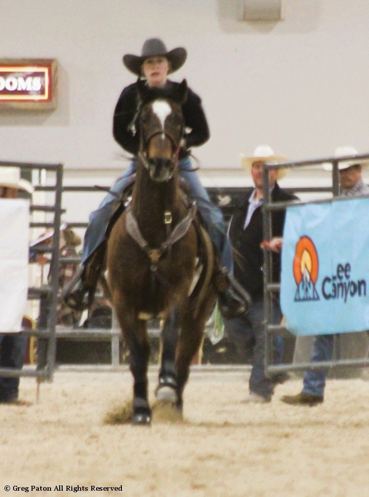 In goat tie-down event, horse and rider spring from the gate at full tilt in time trials at Priefert Pavilion as seen in high school rodeos: Alamo; Battle Mountain; Boulder City; Pahrump; Pahrump Valley; Elko; Eureka; Fallon; Fernley; Humboldt; Moapa Valley; Spanish Springs; Washoe; Wells; White Pine; NSHSRA; Priefert Pavilion; & South Point.