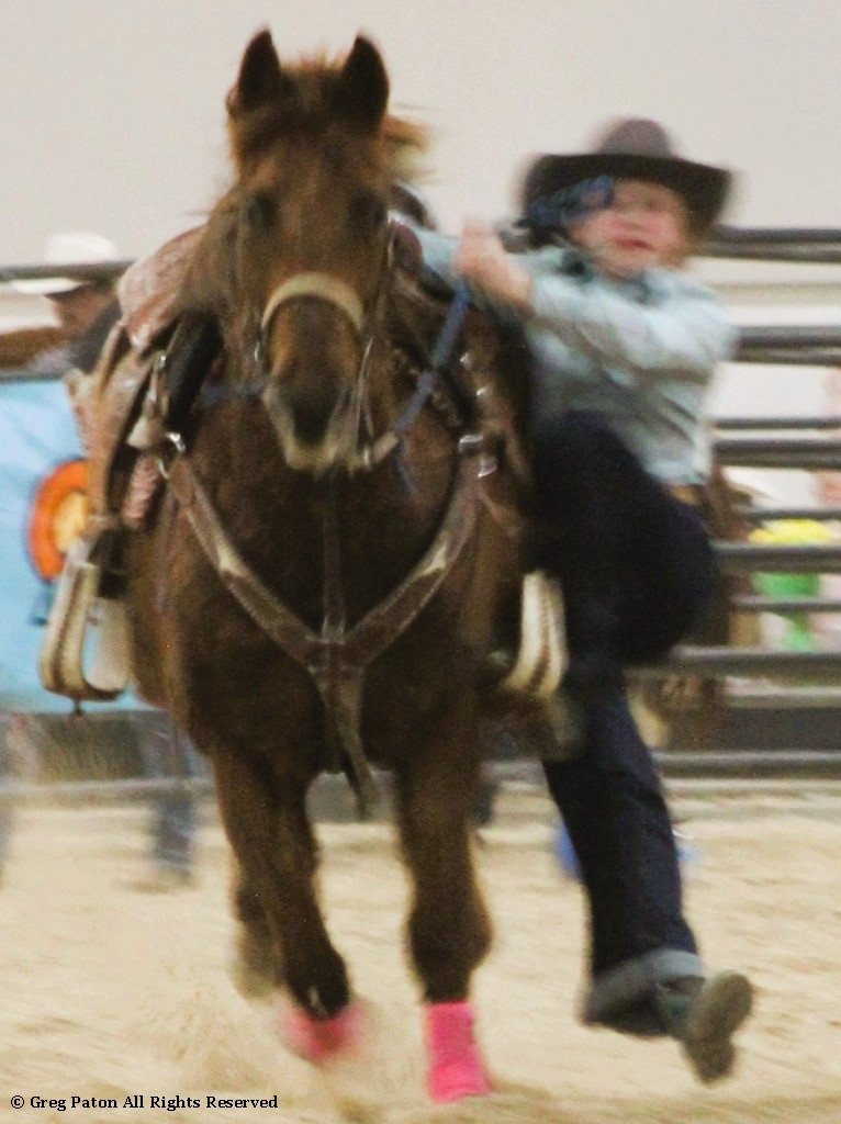 In goat tie-down event, rider prepares to hit the ground in the time trials at Priefert Pavilion as seen in high school rodeos: Alamo; Battle Mountain; Boulder City; Pahrump; Pahrump Valley; Elko; Eureka; Fallon; Fernley; Humboldt; Moapa Valley; Spanish Springs; Washoe; Wells; White Pine; NSHSRA; Priefert Pavilion; & South Point.