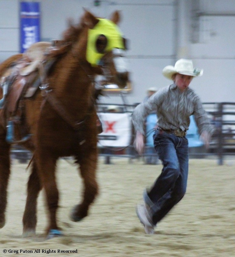 In goat tie-down event, young cowboy races toward the goat at Priefert Pavilionas seen in high school rodeos: Alamo; Battle Mountain; Boulder City; Pahrump; Pahrump Valley; Elko; Eureka; Fallon; Fernley; Humboldt; Moapa Valley; Spanish Springs; Washoe; Wells; White Pine; NSHSRA; Priefert Pavilion; & South Point.