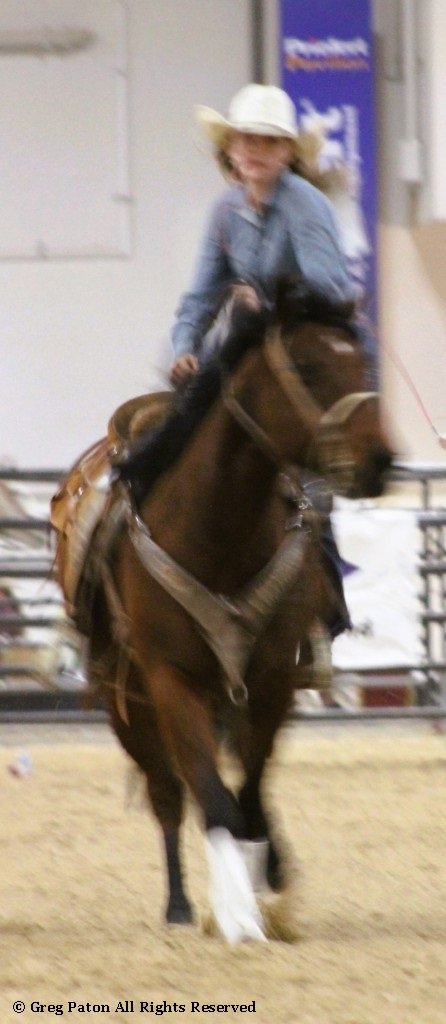 In goat tie-down event, at full gallop, rider begins to dismount in time trials at Priefert Pavilion as seen in high school rodeos: Alamo; Battle Mountain; Boulder City; Pahrump; Pahrump Valley; Elko; Eureka; Fallon; Fernley; Humboldt; Moapa Valley; Spanish Springs; Washoe; Wells; White Pine; NSHSRA; Priefert Pavilion; & South Point.