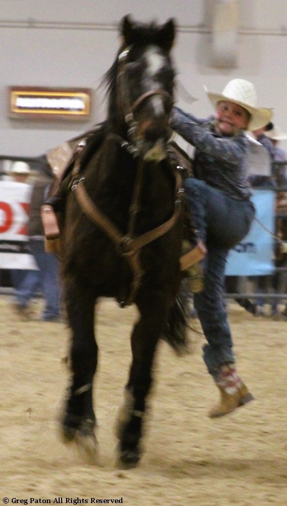 In goat tie-down event, cowboy prepares to dismount from galloping horse in time trials at Priefert Pavilion as seen in high school rodeos: Alamo; Battle Mountain; Boulder City; Pahrump; Pahrump Valley; Elko; Eureka; Fallon; Fernley; Humboldt; Moapa Valley; Spanish Springs; Washoe; Wells; White Pine; NSHSRA; Priefert Pavilion; & South Point.