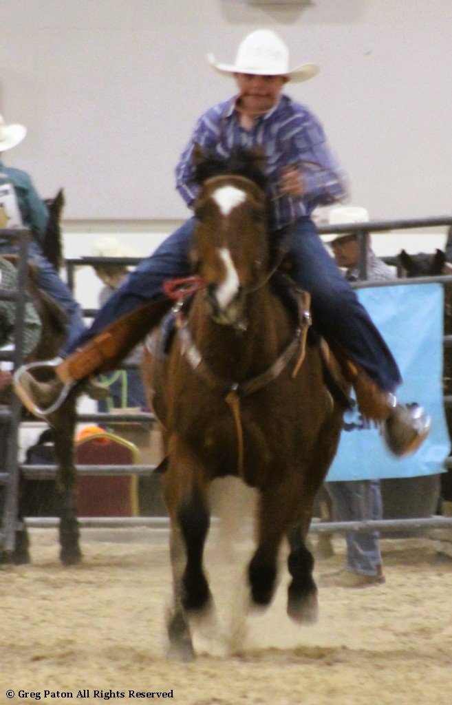 In goat tie-down event, horse and rider gallop out of the gate in time trials at Priefert Pavilion as seen in high school rodeos: Alamo; Battle Mountain; Boulder City; Pahrump; Pahrump Valley; Elko; Eureka; Fallon; Fernley; Humboldt; Moapa Valley; Spanish Springs; Washoe; Wells; White Pine; NSHSRA; Priefert Pavilion; & South Point.