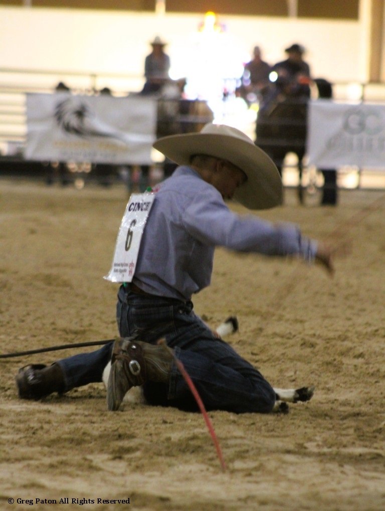 In goat tie-down event, mini cowboy ties goat's legs in time trials at Priefert Pavilion as seen in high school rodeos: Alamo; Battle Mountain; Boulder City; Pahrump; Pahrump Valley; Elko; Eureka; Fallon; Fernley; Humboldt; Moapa Valley; Spanish Springs; Washoe; Wells; White Pine; NSHSRA; Priefert Pavilion; & South Point.