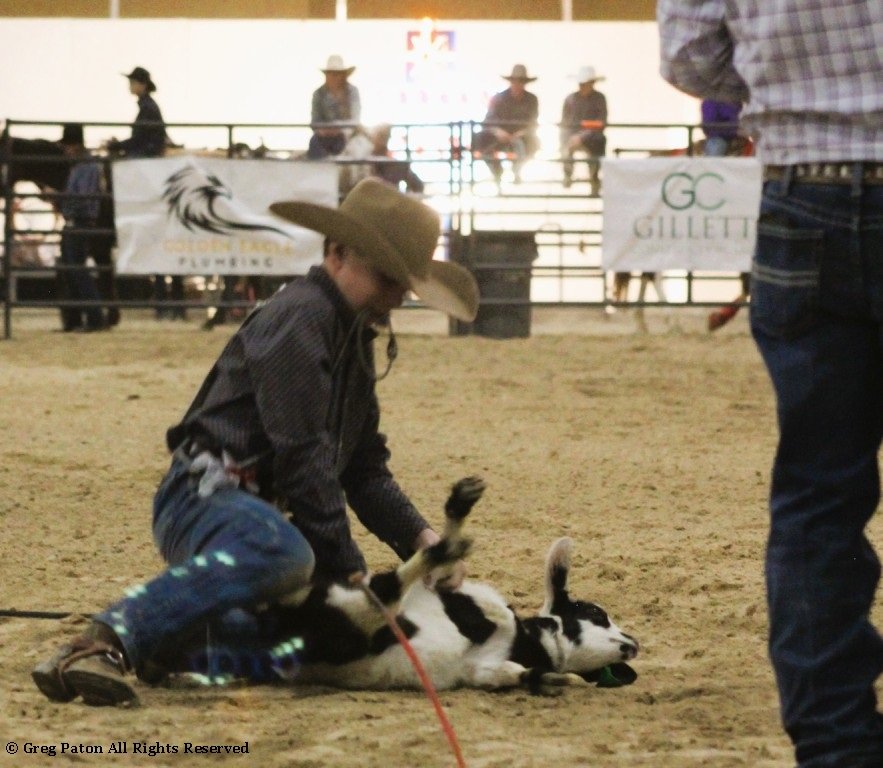 In goat tie-down event, cowboy ties goat's legs in time trials at Priefert Pavilion as seen in high school rodeos: Alamo; Battle Mountain; Boulder City; Pahrump; Pahrump Valley; Elko; Eureka; Fallon; Fernley; Humboldt; Moapa Valley; Spanish Springs; Washoe; Wells; White Pine; NSHSRA; Priefert Pavilion; & South Point.