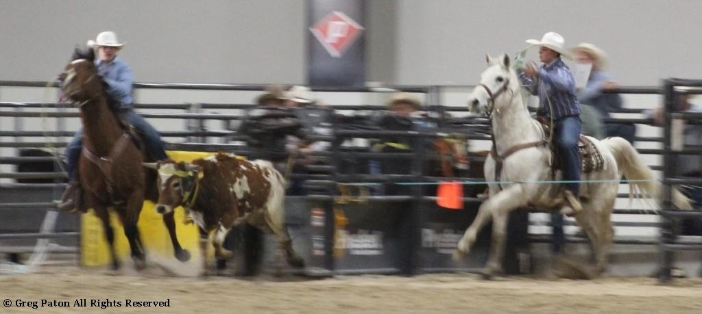 In team roping event, riders and steer race from the gate in time trials at Priefert Pavilion as seen in high school rodeos: Alamo; Battle Mountain; Boulder City; Pahrump; Pahrump Valley; Elko; Eureka; Fallon; Fernley; Humboldt; Moapa Valley; Spanish Springs; Washoe; Wells; White Pine; NSHSRA; Priefert Pavilion; & South Point.
